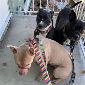 Meet your Posher, Tommi